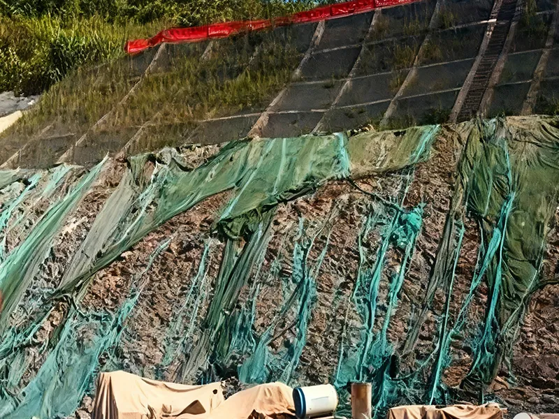 অস্থির ঢালের শিলা শক্তিশালীকরণ